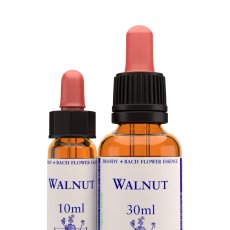 Walnut – Bachova květová esence