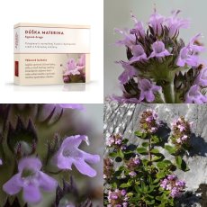 Dúška materina vňať