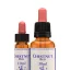 Chestnut Bud – Bachova květová esence - Objem: 10 ml