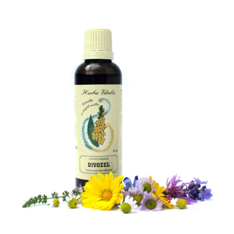 Divizna velkokvětá tinktura