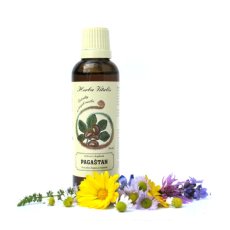 Kaštan koňský tinktura