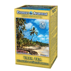 VATA dóšický ajurvédský čaj Everest Ayurveda