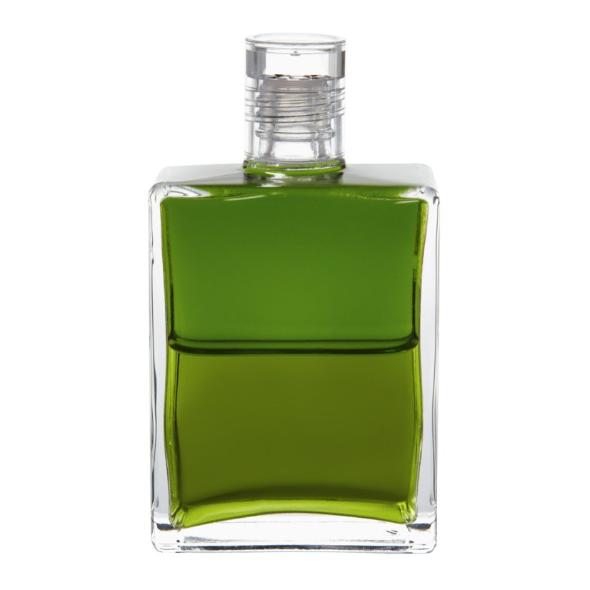 Equilibrium B91 Ženské vůdcovství srdce