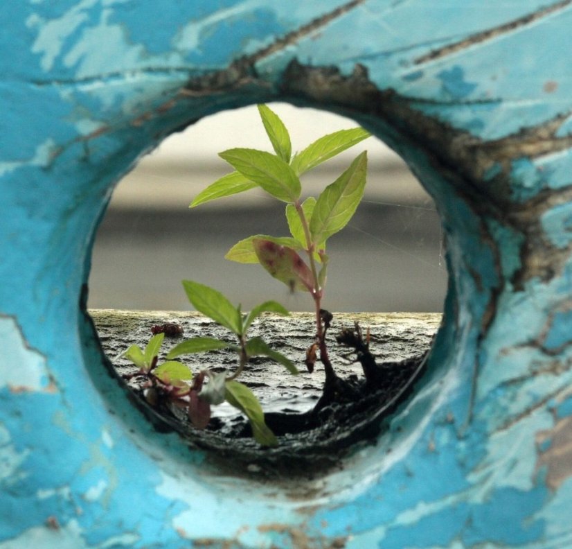 Osobní rozvoj a poradenství pro dospělé dospělé