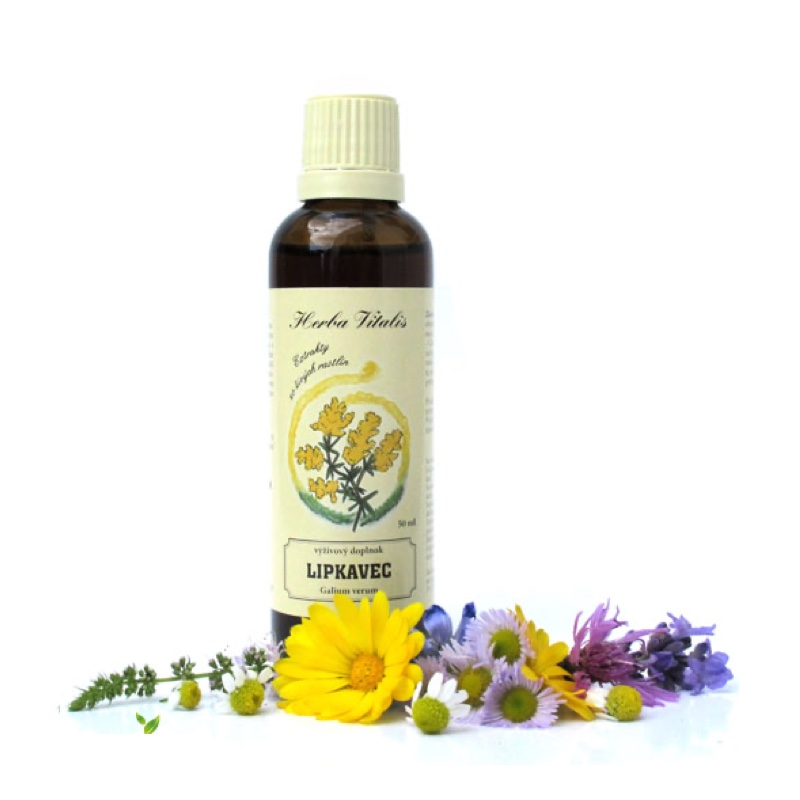 Svízel syřišťový tinktura