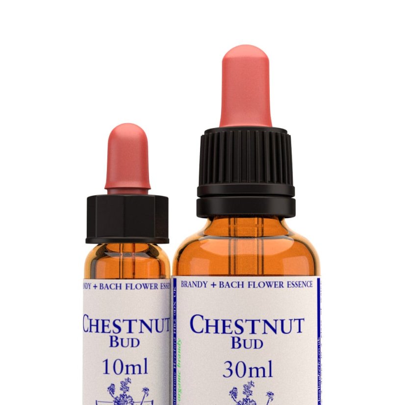 Chestnut Bud – Bachova květová esence