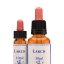 Larch