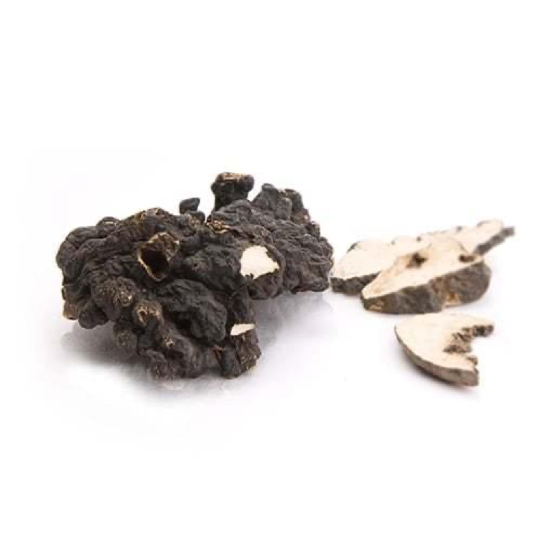 Polyporus MycoMedica – tradiční péče o močové cesty a hospodaření s vodou