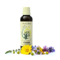 Túžobník brestový tinktúra