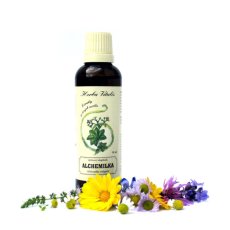 Alchemilka obyčajná tinktúra