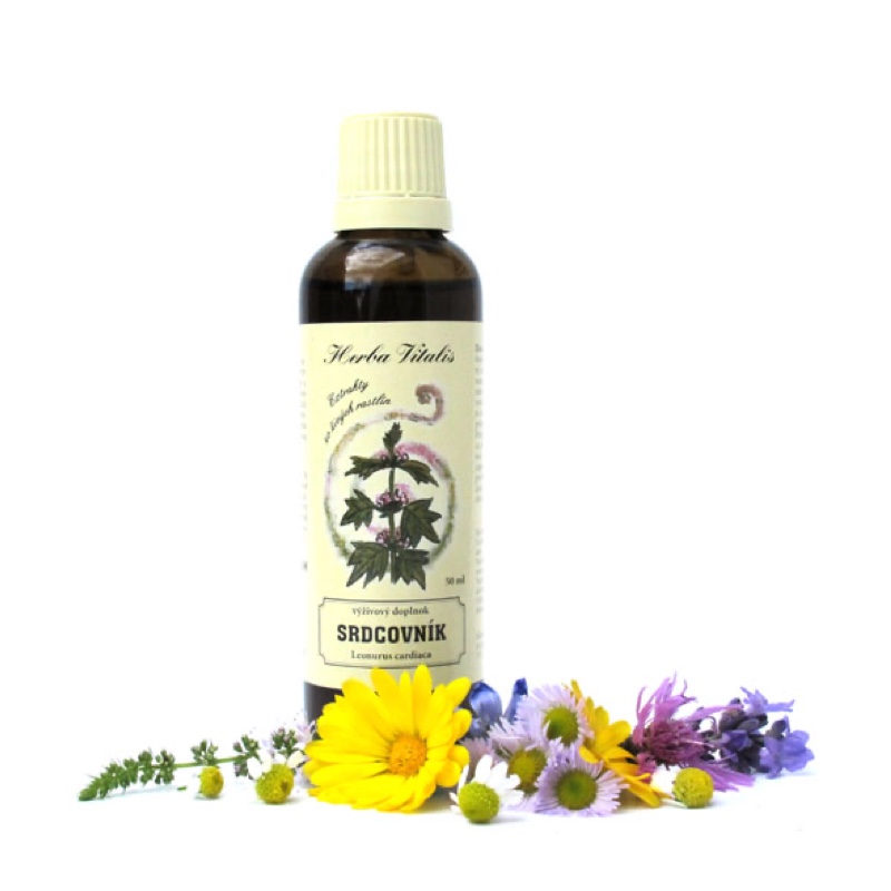Srdečník obecný tinktura