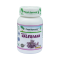 Indická Valeriana – ajurvédske kapsuly