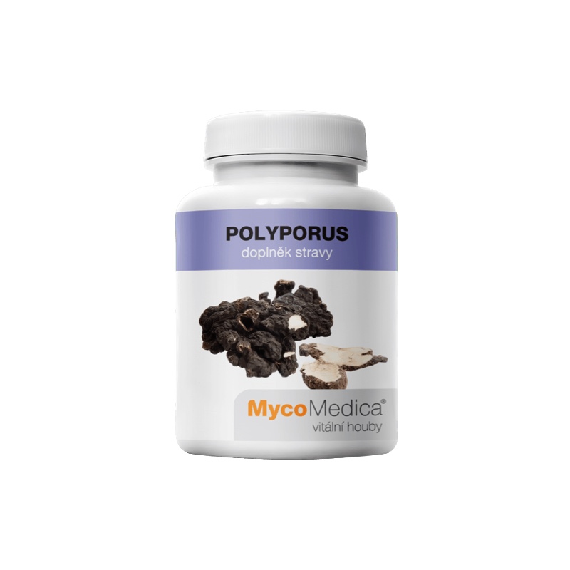 Polyporus MycoMedica
