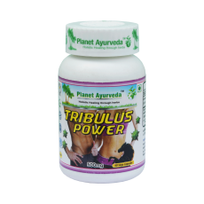 Tribulus power