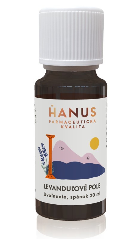 Levandulové pole Hanus