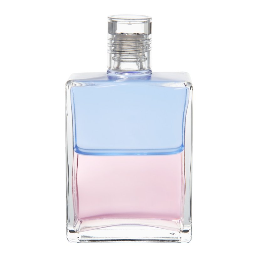 Equilibrium B58 Orion & Angelika