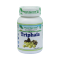 Triphala