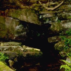 Rock Water – Bachova kvetová esencia