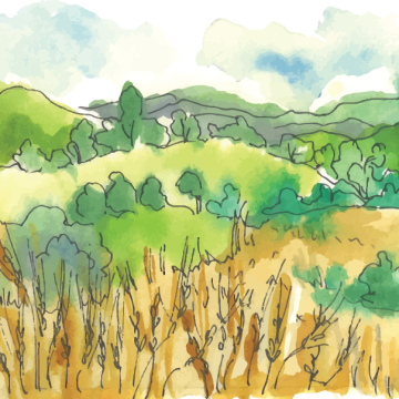 Testovaci kategorie 3