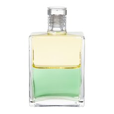 Equilibrium B74 Triumf