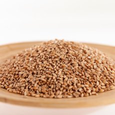 Dvouzrnka zrno BIO