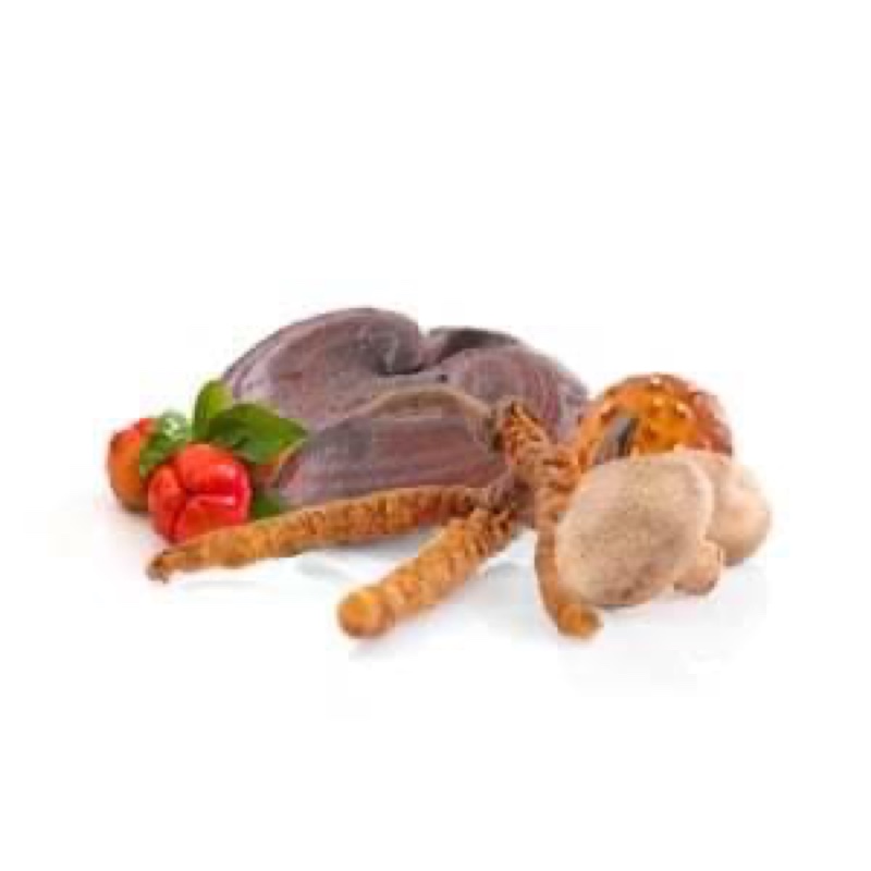 MycoComplex MycoMedica – zmes húb na podporu obranyschopnosti a vitality