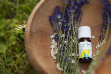 AROMATERAPIE - esenciální oleje (éterické silice)